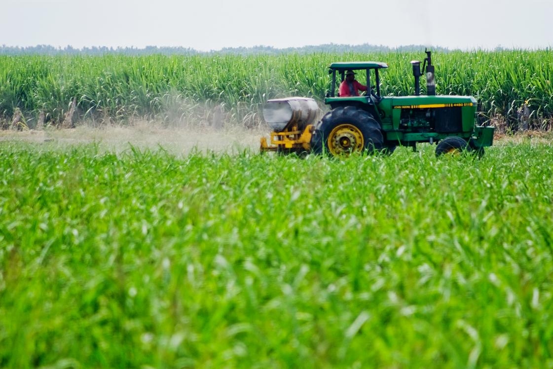 Crearán plan para impulsar actividad agrícola en Aragua: Venezuela